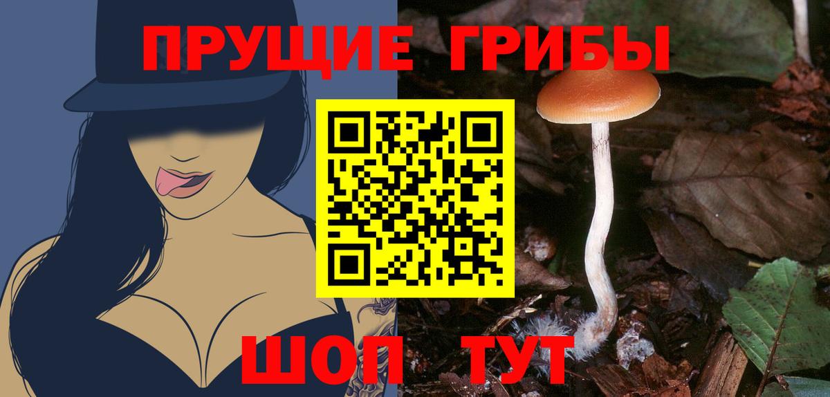 Биробиджан  Псилоцибиновые грибы ЛСД  Вход с VPN 